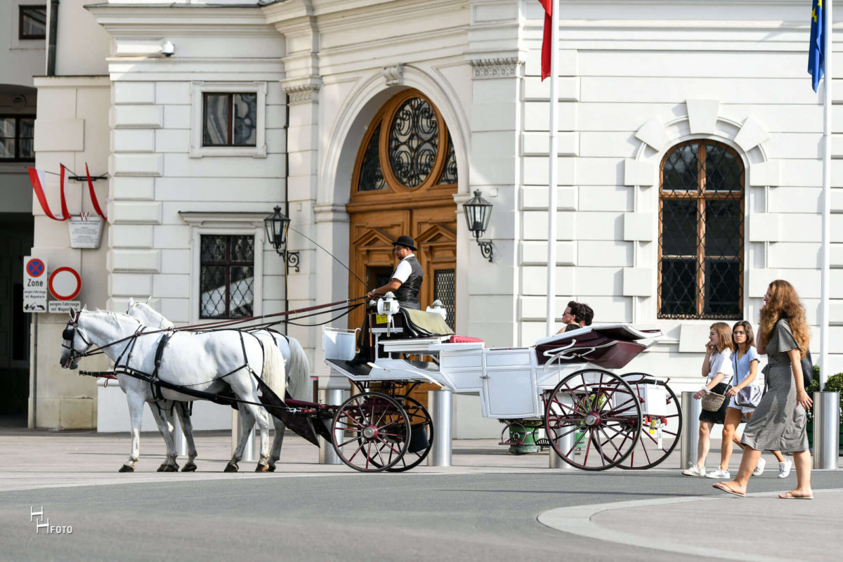 Fiaker der Wiener Fiakerzentrale