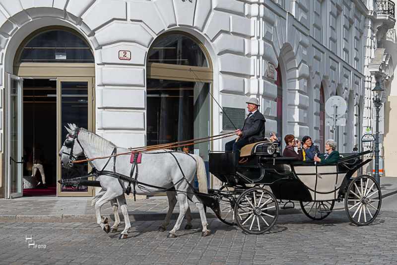 Fiaker der Wiener Fiakerzentrale