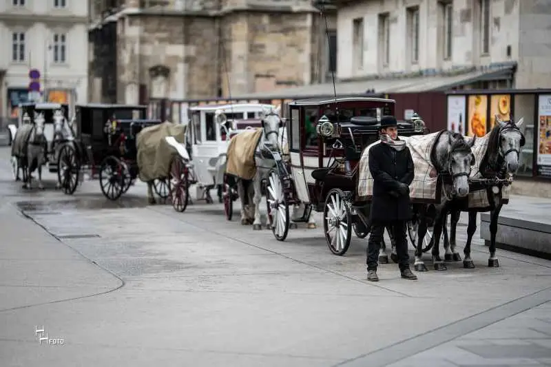 Route 3 Early Bird: Innenstadt - 60 Min.