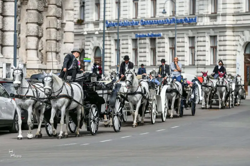 Route 5: vom angegebenen Standplatz zum Riesenrad - ca. 35 Min.