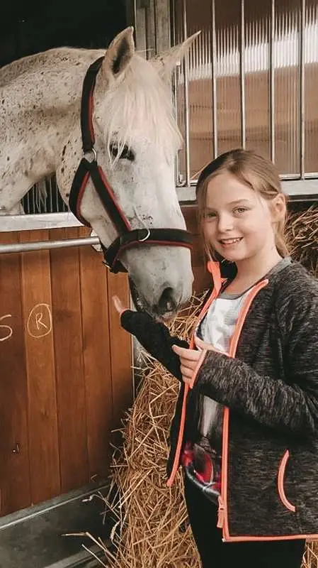 stalltour er fiakerzentrale.at in wien
