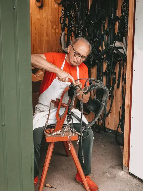 stalltour er fiakerzentrale.at in wien