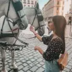 fiaker der wiener fiakerzentrale.at