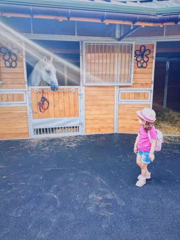 stalltour er fiakerzentrale.at in wien