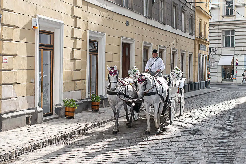 Route 2: Innenstadt - 60 Min. – Bild 4
