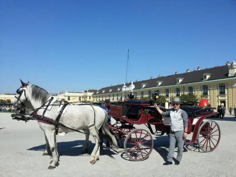 Schönbrunn Rundfahrt ca. 30 Min. – Bild 4