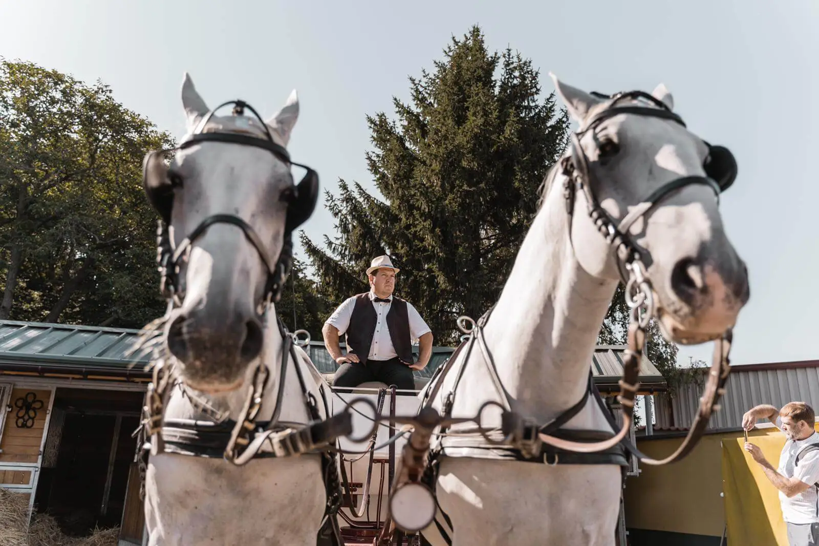 Geheimnisse der Fiaker - ca. 90 Min. – Bild 3