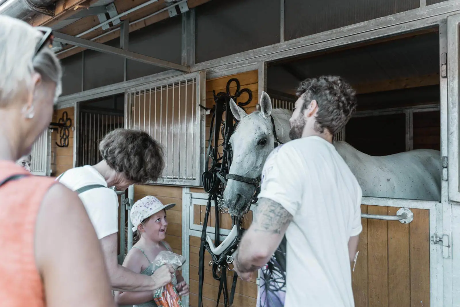 Geheimnisse der Fiaker - ca. 90 Min. – Bild 2