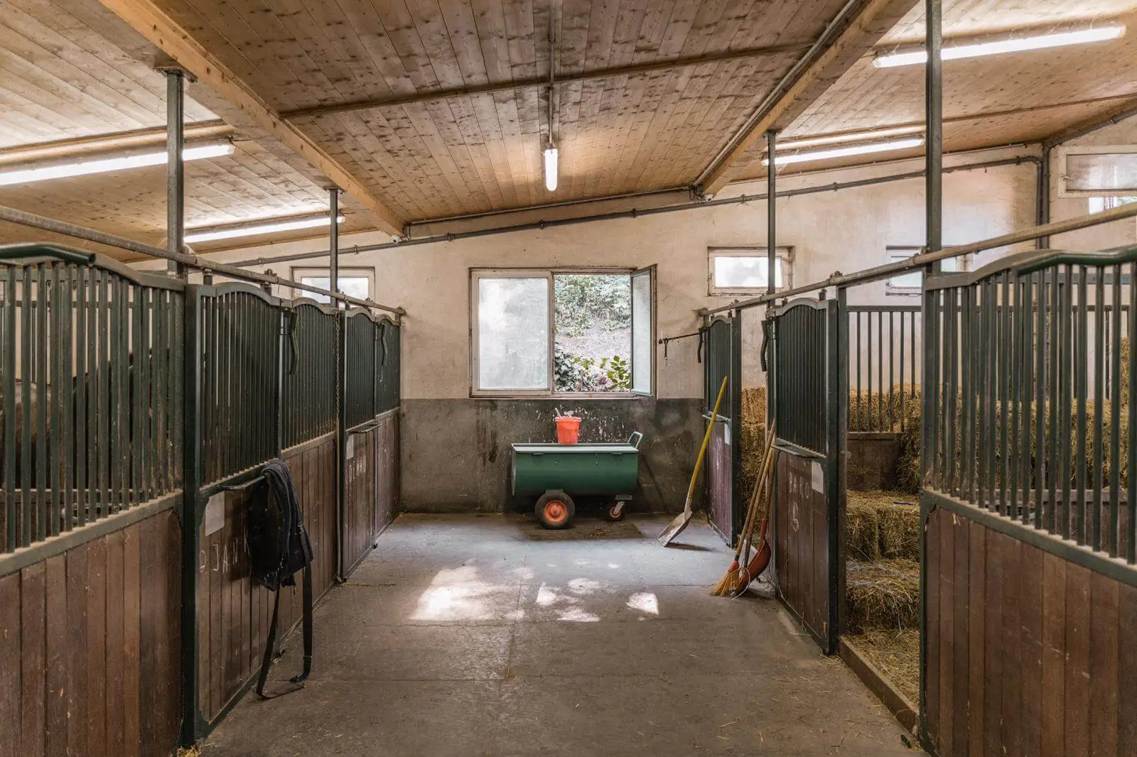 Geheimnisse der Fiaker - ca. 90 Min. – Bild 4