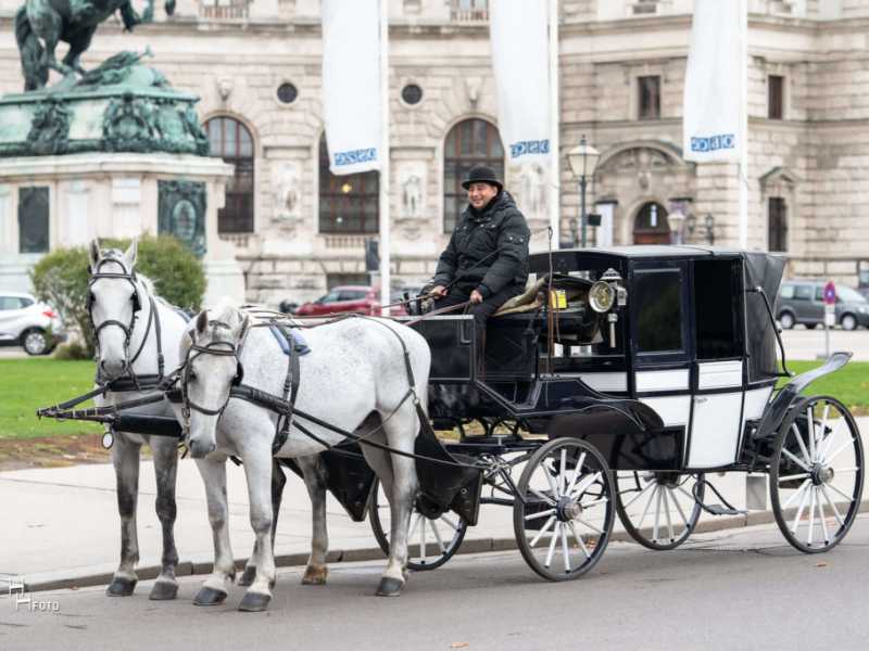 Wiener Fiaker der Fiakerzentrale