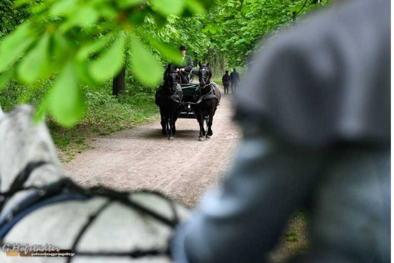 Gutschein Route 7:  Innenstadt zum Lusthaus mit Aufenthalt und Retour 3,5 Std -210 Min.