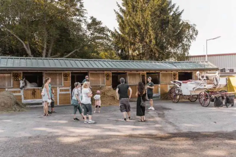 Geheimnisse der Fiaker mit Frühstück im Cafe Falcos - ca. 90 Min. (ohne Frühstückszeit)