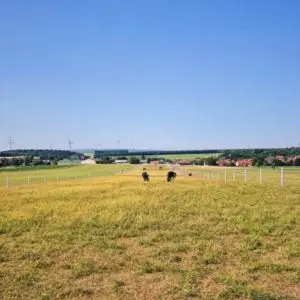 Unser Pferdehof über 130.000m²
